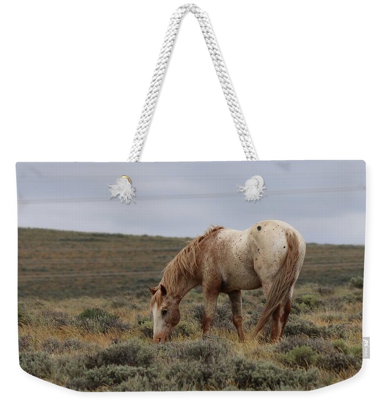 Wild Weekender Tote Bag featuring the photograph Wild Horse by Christy Pooschke