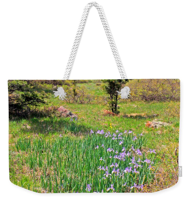 Wild Flowers Irises Mesa Trail Boulder Colorado Flatirons Rockymountains Flowerfields Nature Weekender Tote Bag featuring the photograph Wild irises by George Tuffy