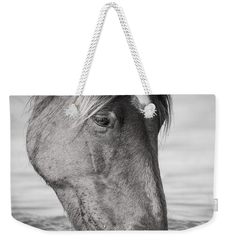 Wild Weekender Tote Bag featuring the photograph Wild Mustang Feeding by Bob Decker