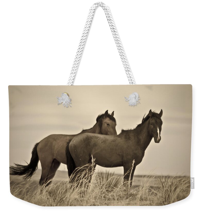 Horses Weekender Tote Bag featuring the photograph Wild Mustangs of New Mexico 3 by Catherine Sobredo