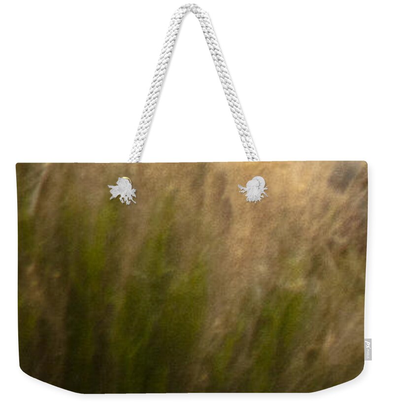Andalusia Weekender Tote Bag featuring the photograph Wild Mustangs of New Mexico 36 by Catherine Sobredo