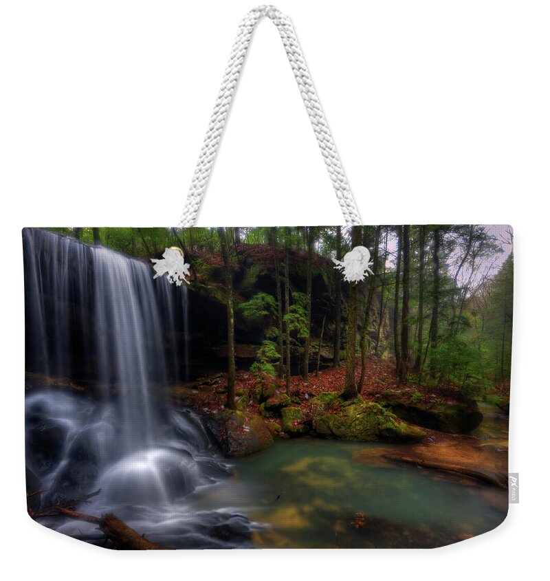 Scenics Weekender Tote Bag featuring the photograph Wild Turkey by Tony Barber