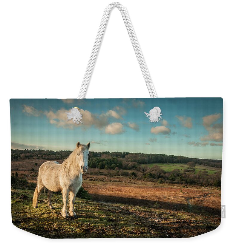 Horse Weekender Tote Bag featuring the photograph Wild White Horse, The New Forest by Gollykim