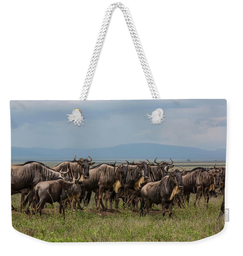 Horned Weekender Tote Bag featuring the photograph Wildebeests, Serengeti by Wavelet Photography