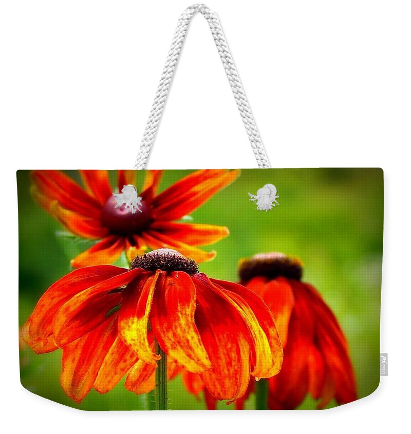 Wild Flower Weekender Tote Bag featuring the photograph Wildest Bloom by Kimberly Woyak