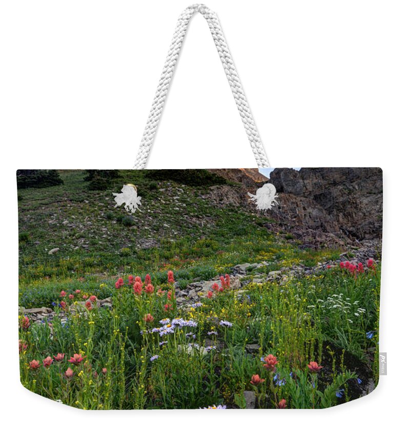 Wildflowers Weekender Tote Bag featuring the photograph Wildflowers and Timpanogos South Peak at Sunset by Gary Whitton