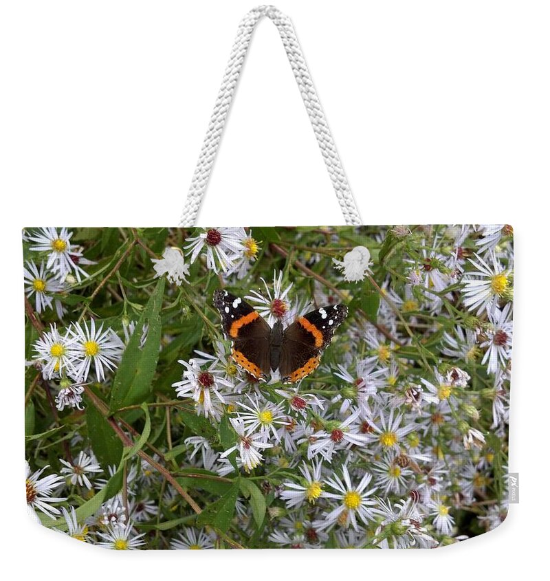 Butterfly Weekender Tote Bag featuring the photograph Wildflowers with Butterfly by Lisa Wormell