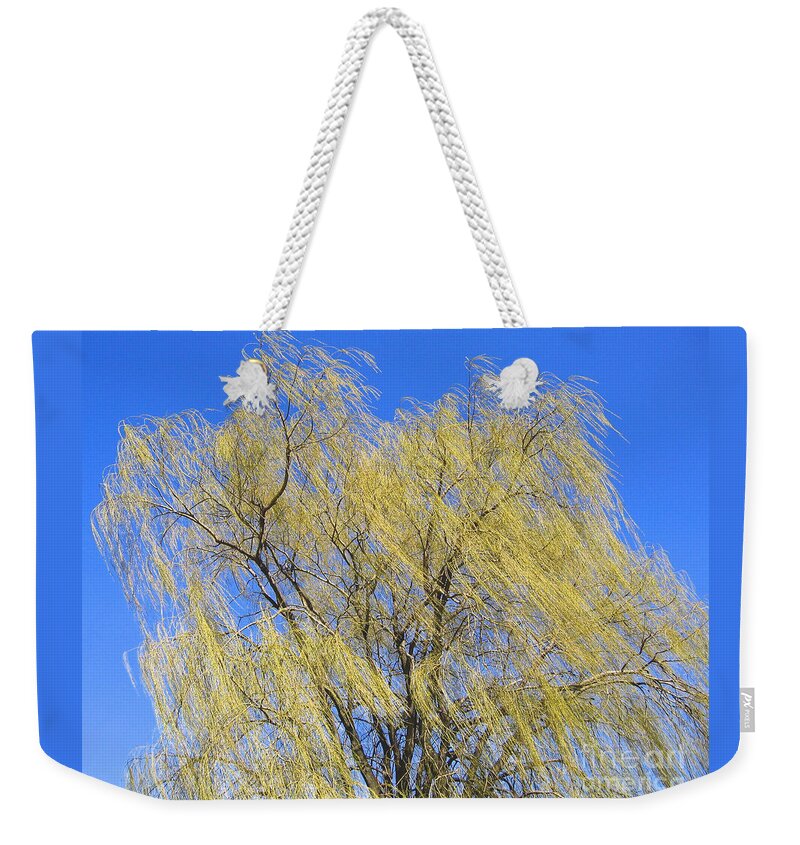 Willow Weekender Tote Bag featuring the photograph Wind in a Willow by Ann Horn