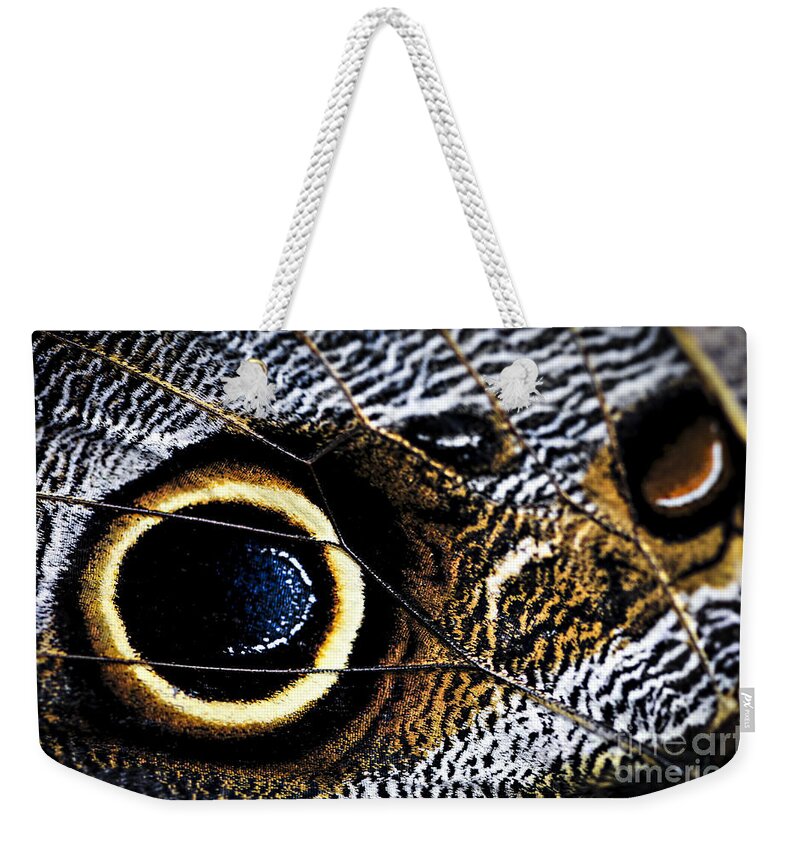Caligo Weekender Tote Bag featuring the photograph Wing of Owl Butterfly by Elena Elisseeva