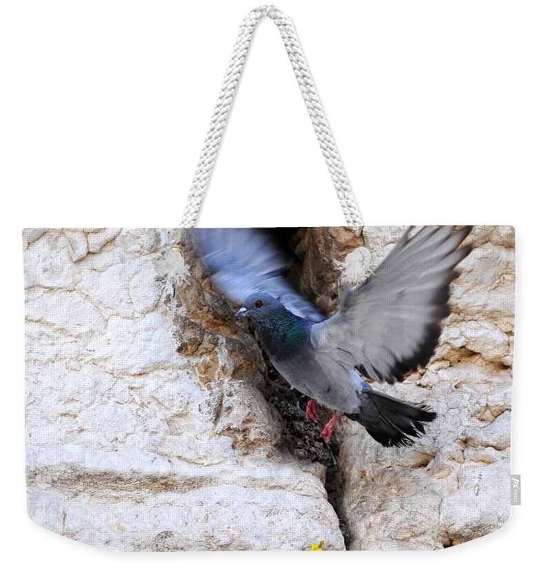 Peace Of Jerusalem Art Weekender Tote Bag featuring the painting Wings Of Peace by Constance Woods