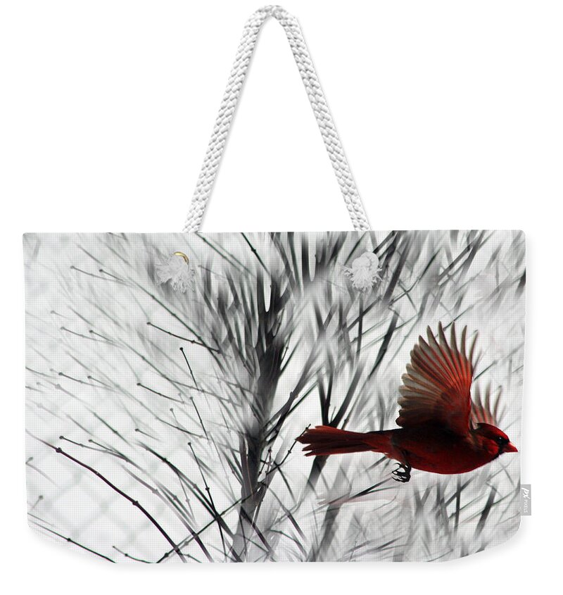 Cardinal Weekender Tote Bag featuring the photograph Winter Cardinal by Heather Applegate