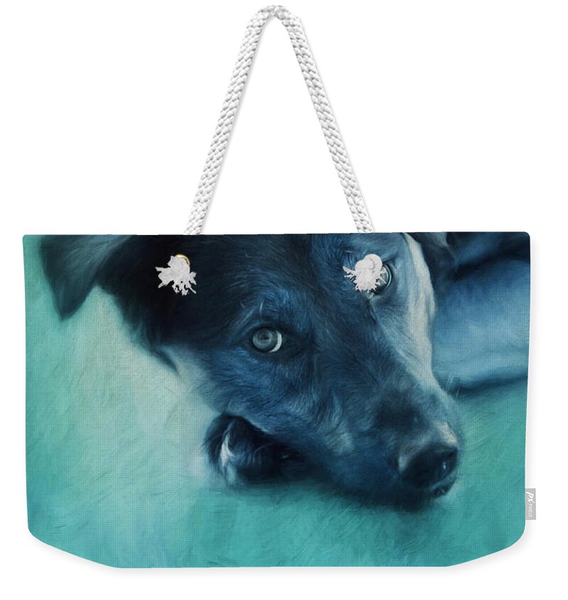 Dog Weekender Tote Bag featuring the photograph Winter Dog by Priska Wettstein