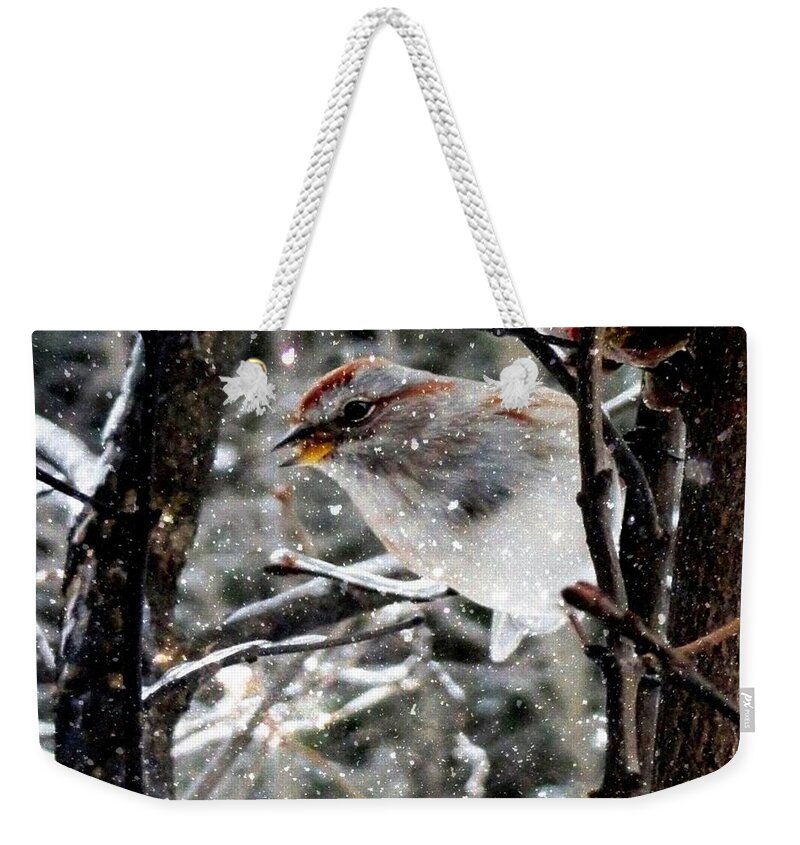 Winter Greetings Weekender Tote Bag featuring the photograph Winter Greetings by Mike Breau