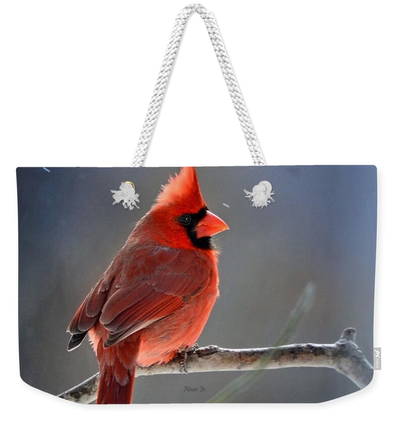 Nature Weekender Tote Bag featuring the photograph Winter Morning Cardinal by Nava Thompson