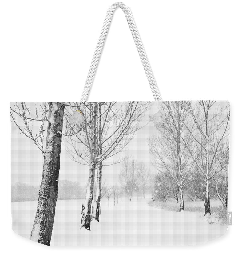Landscape Weekender Tote Bag featuring the photograph Winter Path by Theresa Tahara