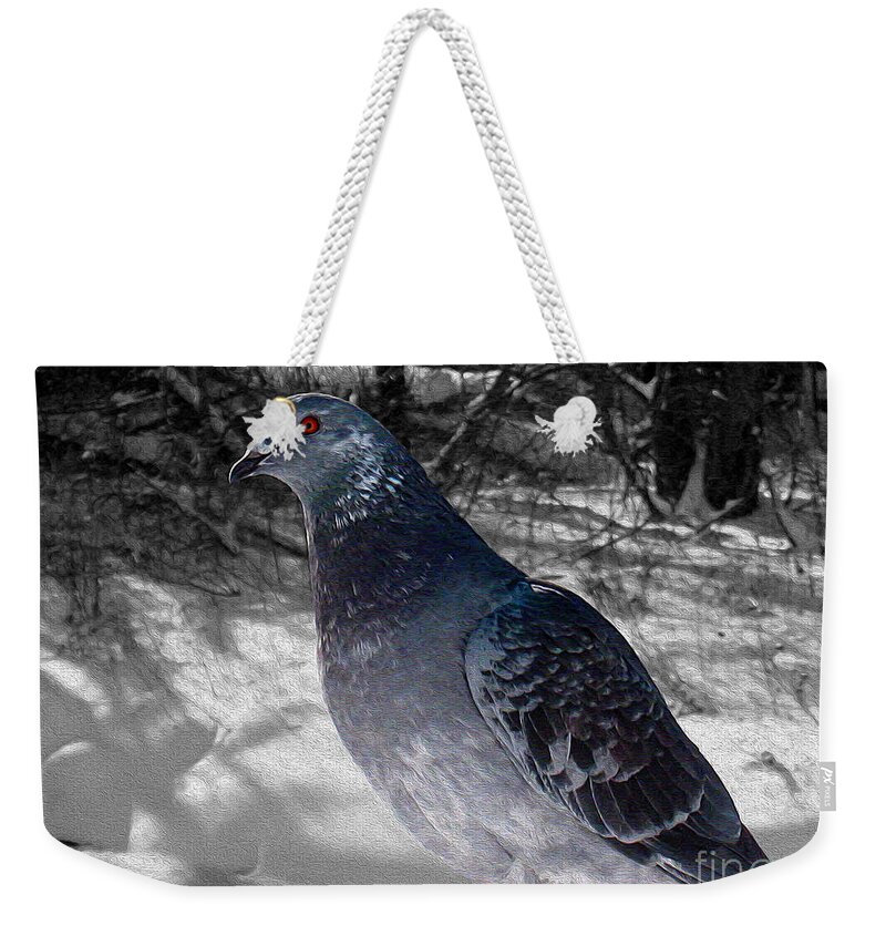 Pigeon Weekender Tote Bag featuring the photograph Winter Pigeon by Nina Silver