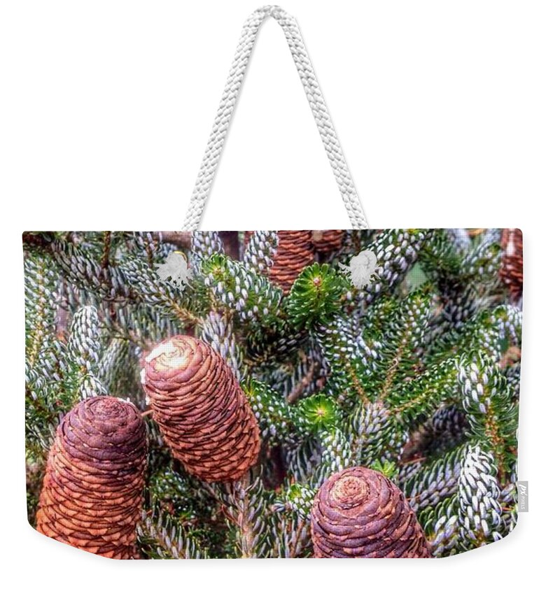  Pine Tree Weekender Tote Bag featuring the photograph Winter Pine Cones by Susan Garren