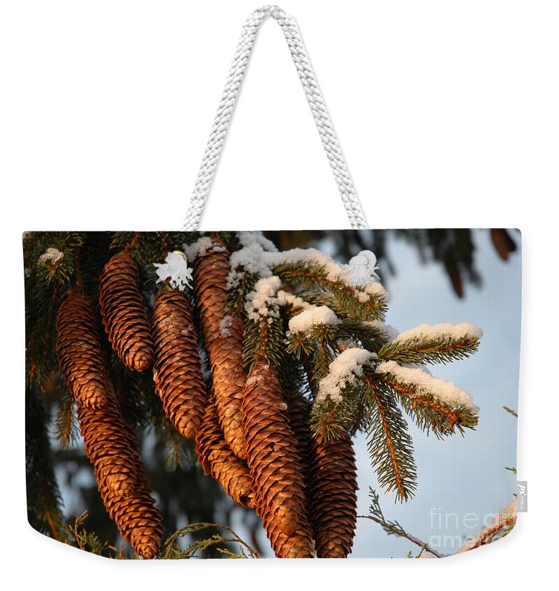 Pine Weekender Tote Bag featuring the photograph Winter Pine - Holiday by Susan Carella