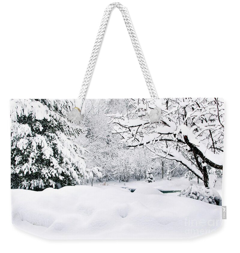 Winter Weekender Tote Bag featuring the photograph Winter Scene by Gwen Gibson
