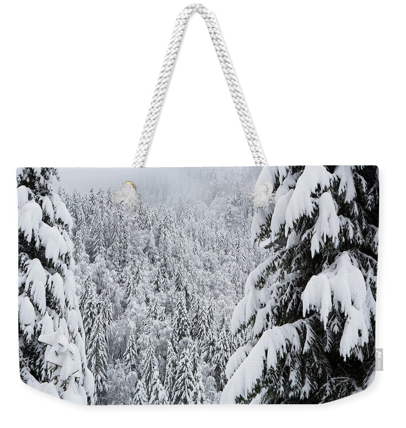 Winter Weekender Tote Bag featuring the photograph Winter Scene With Coniferous Forest by Steele Burrow