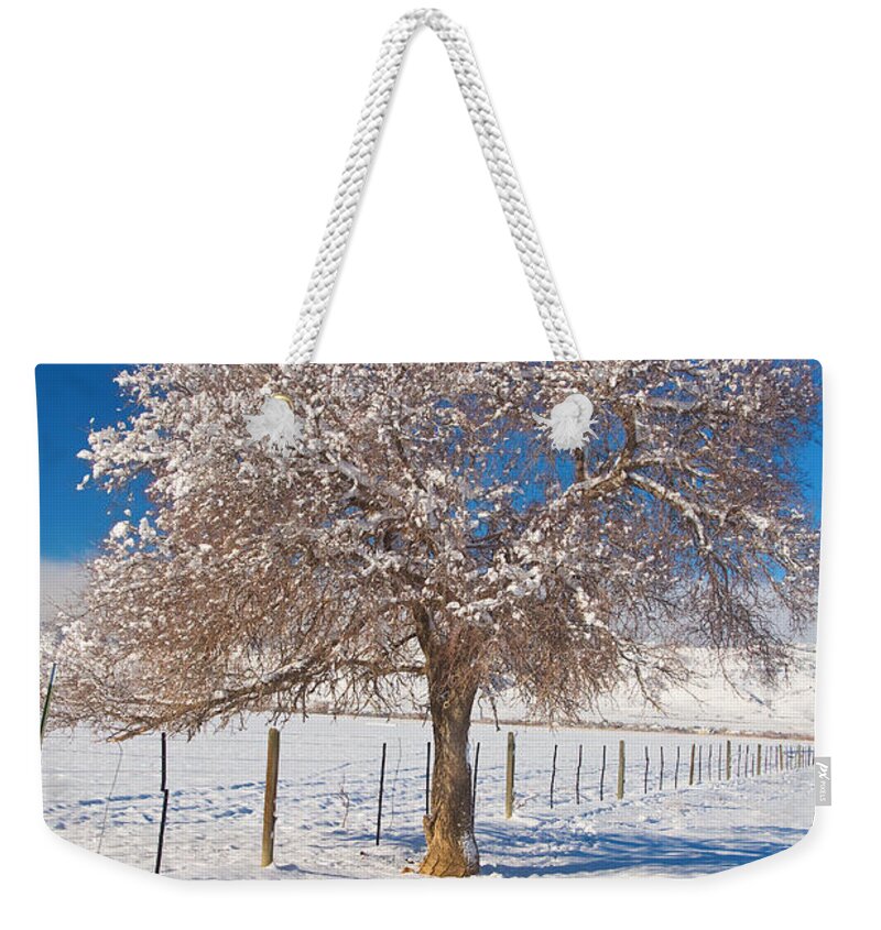 Tree Weekender Tote Bag featuring the photograph Winter Season on the Plains Portrait by James BO Insogna