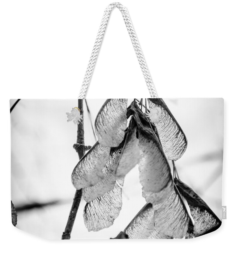 Leaves Weekender Tote Bag featuring the photograph Winter Seeds by Michael Arend