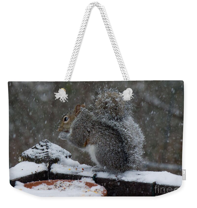 Sandra Clark Weekender Tote Bag featuring the photograph Winter Squirrel 3 by Sandra Clark