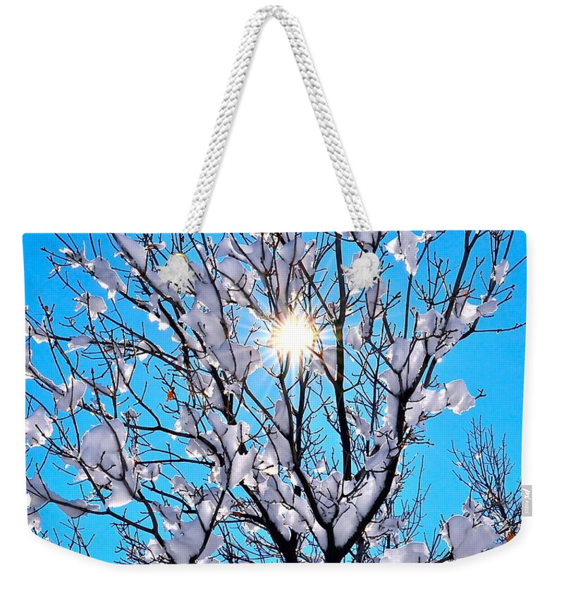 Tree Weekender Tote Bag featuring the photograph Winter Sunlight by Jody Partin