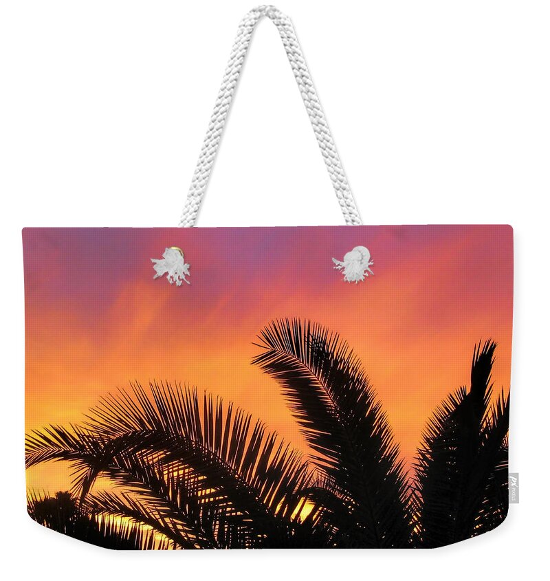 Palm Tree Weekender Tote Bag featuring the photograph Winter Sunset by Tammy Espino