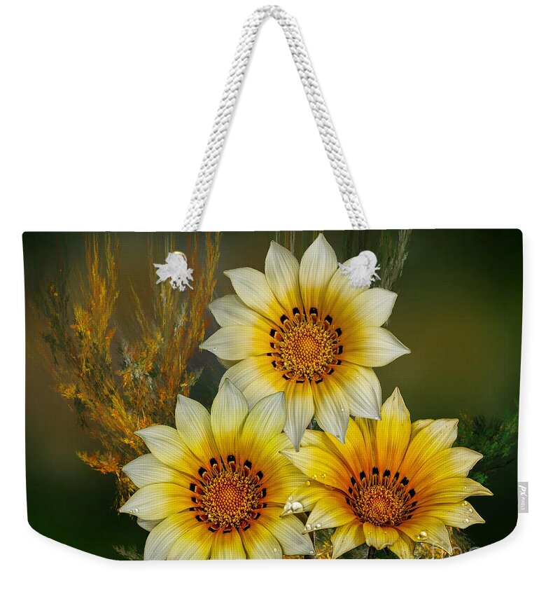 Peruvian Daisies Weekender Tote Bag featuring the photograph Winter Sunshine by Shirley Mangini