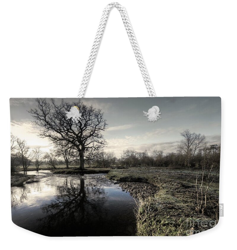 River Weekender Tote Bag featuring the photograph Winter tree on the River Culm by Rob Hawkins