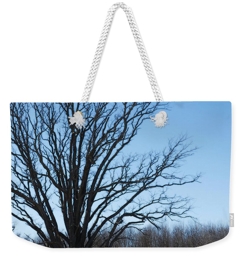 Winter Tree Weekender Tote Bag featuring the photograph Winter tree by Tracy Winter
