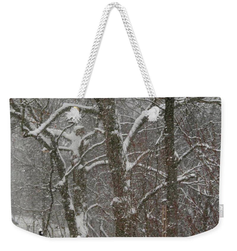 Winter Weekender Tote Bag featuring the photograph Winter Trees by Karen Adams