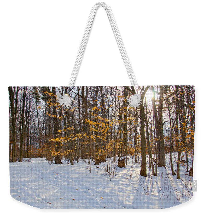 Winter Weekender Tote Bag featuring the photograph Winter Walk by Laurel Best