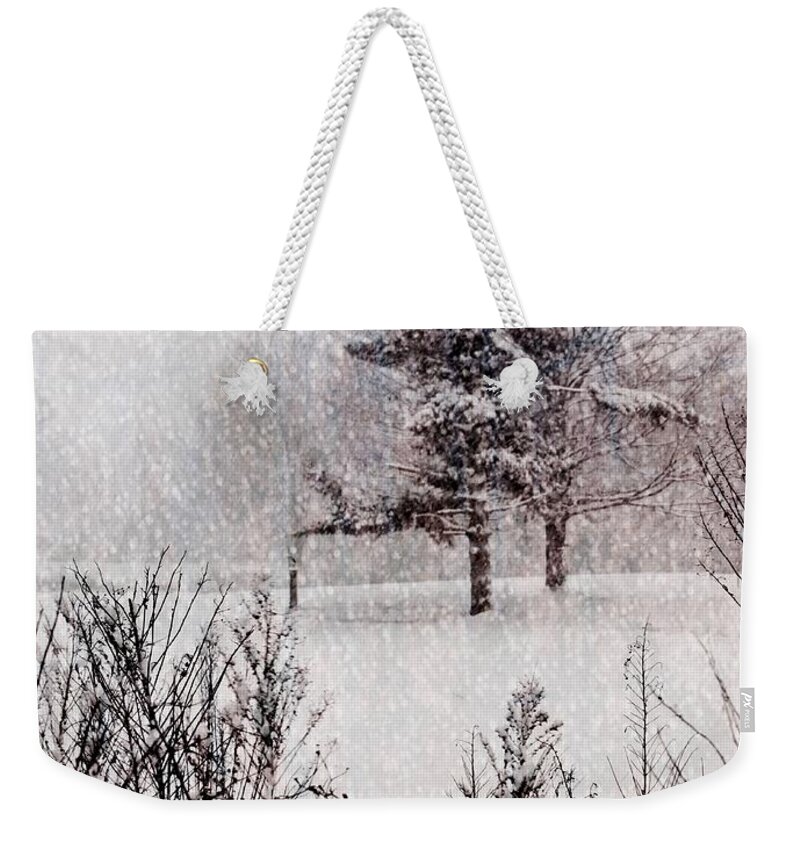 Winter Weekender Tote Bag featuring the digital art Winter Wonder 2 by Maria Huntley