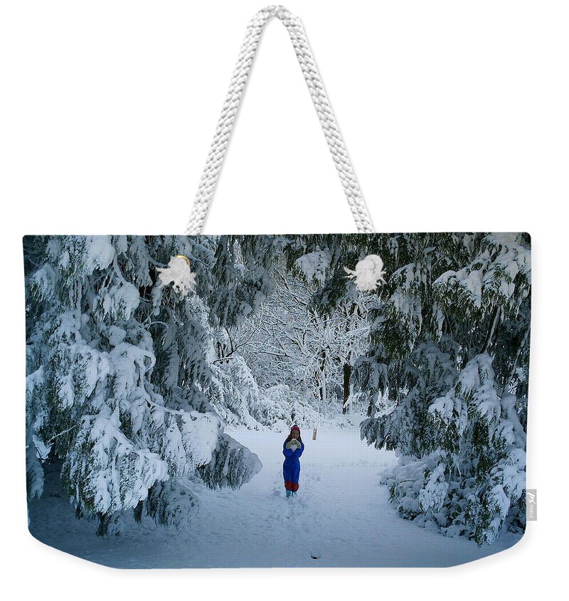 Winter Weekender Tote Bag featuring the photograph Winter Wonderland by Richard Brookes