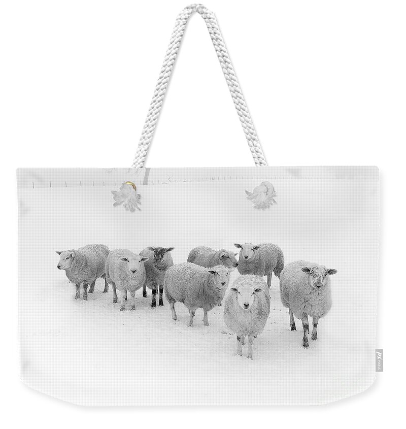 #faatoppicks Weekender Tote Bag featuring the photograph Winter Woollies by Janet Burdon
