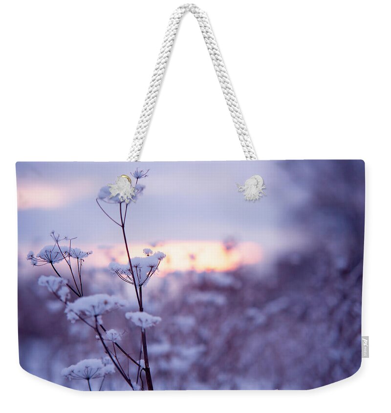 Winter Weekender Tote Bag featuring the photograph Winter Zen by Jenny Rainbow