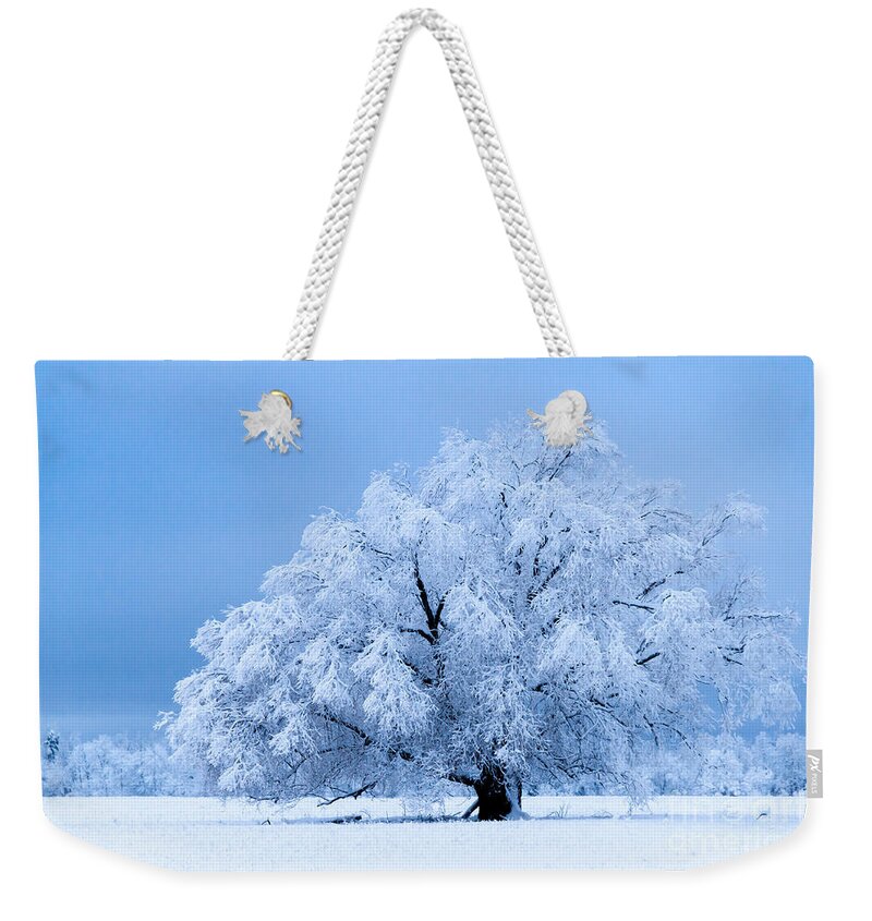 Winter Weekender Tote Bag featuring the photograph Winter's majesty by Lori Dobbs