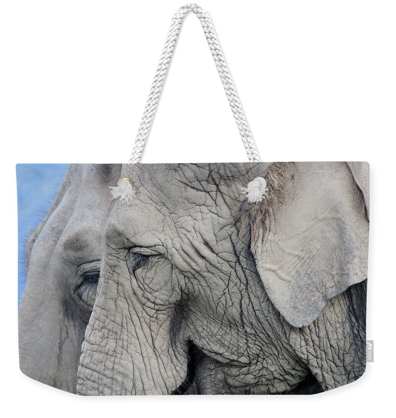 Elephants Weekender Tote Bag featuring the photograph Wisdom with age by Jackson Pearson