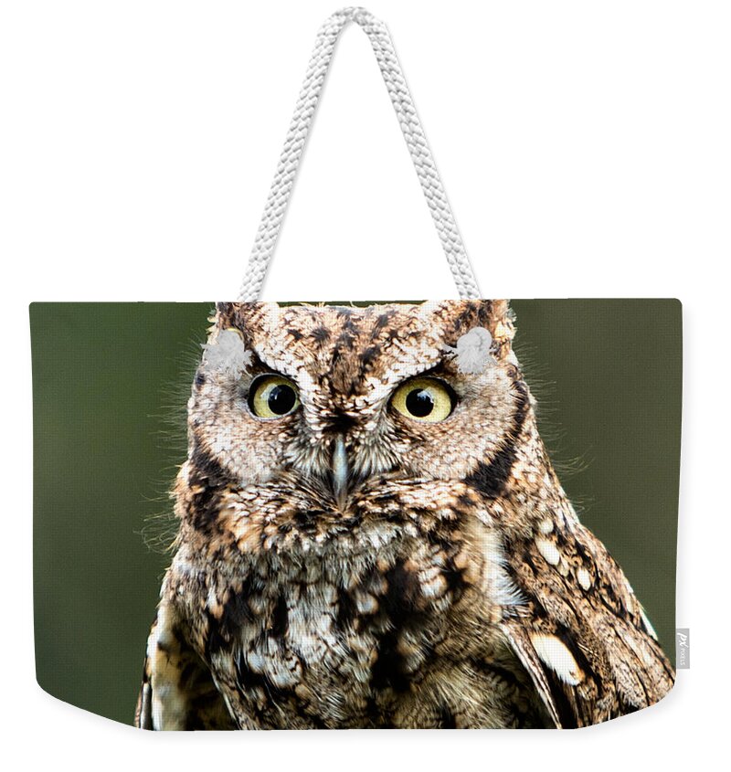 Animals Weekender Tote Bag featuring the photograph Wise Eyes by Mary Jo Allen