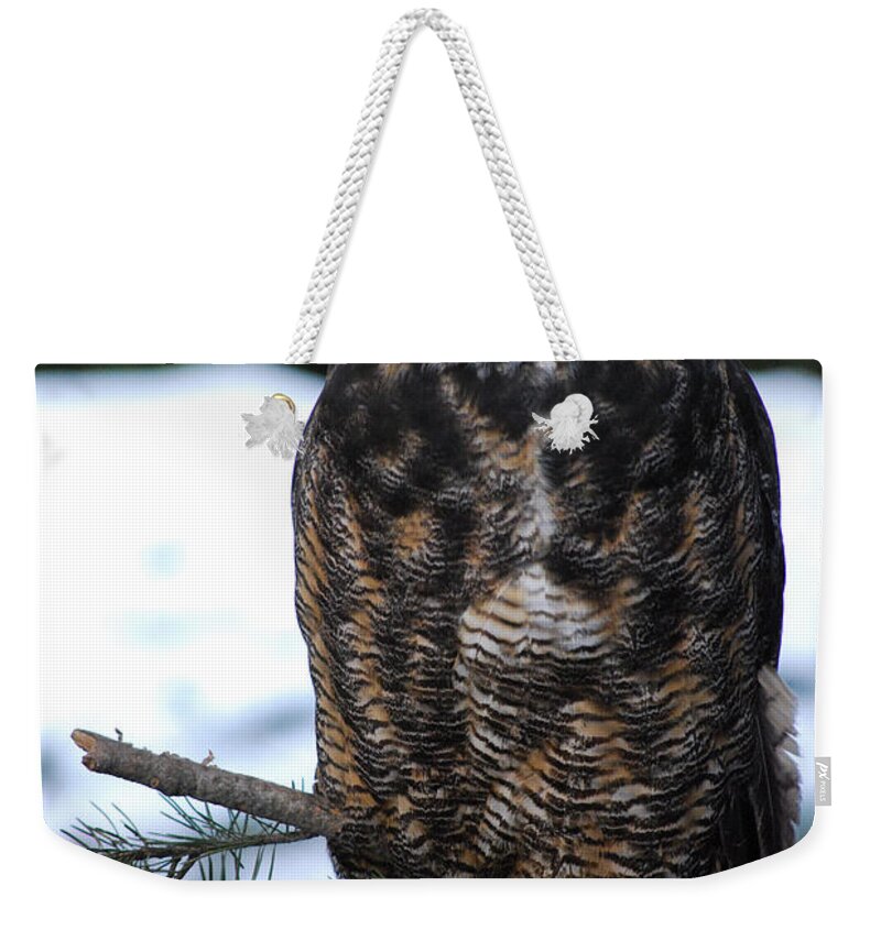 Raptor Weekender Tote Bag featuring the photograph Wise Old Owl by Sharon Elliott