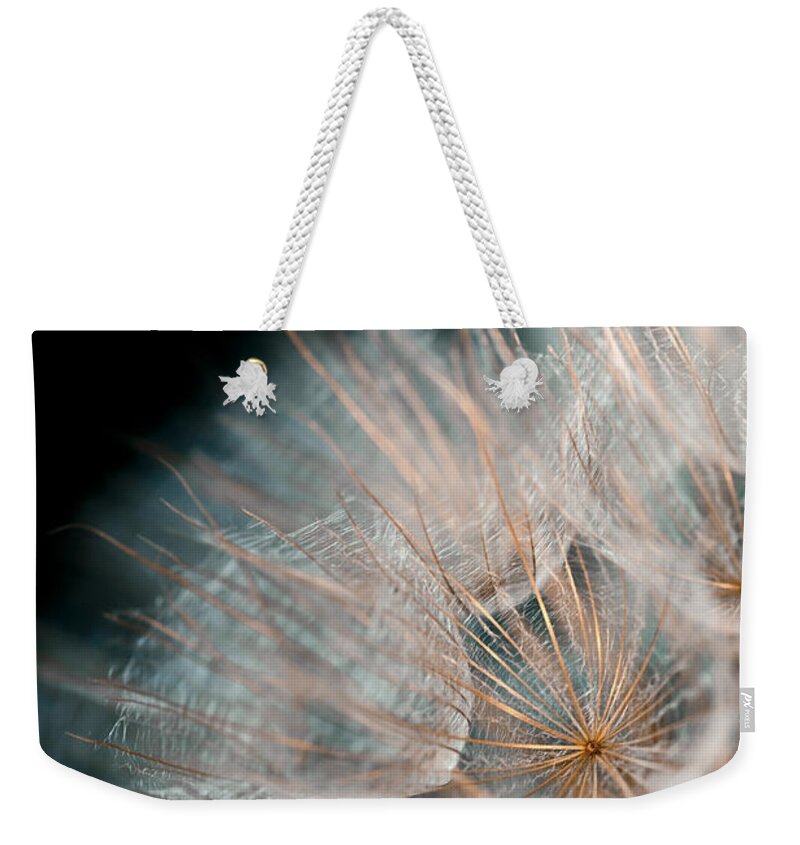 Seed Head Weekender Tote Bag featuring the photograph Wishing for Tomorrow by Jan Bickerton