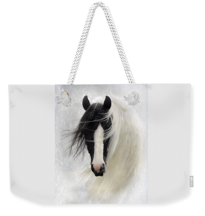 Horses Weekender Tote Bag featuring the photograph Wisteria by Fran J Scott