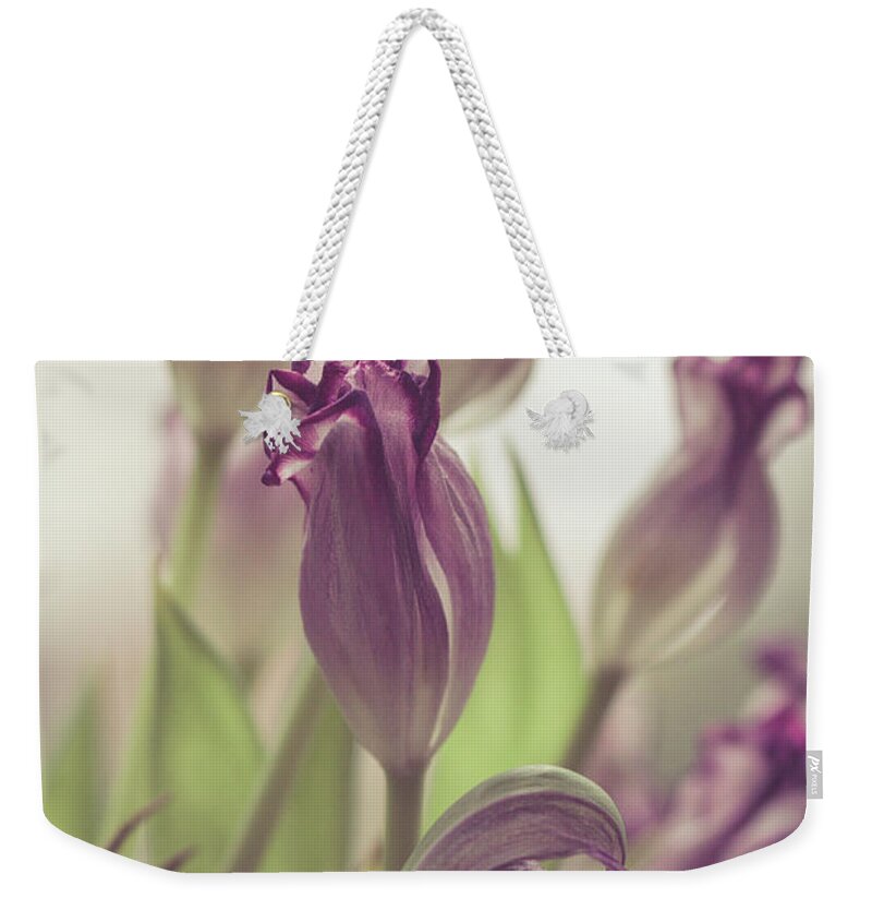 Outdoors Weekender Tote Bag featuring the photograph Withered Tulips by Andrea Schunert
