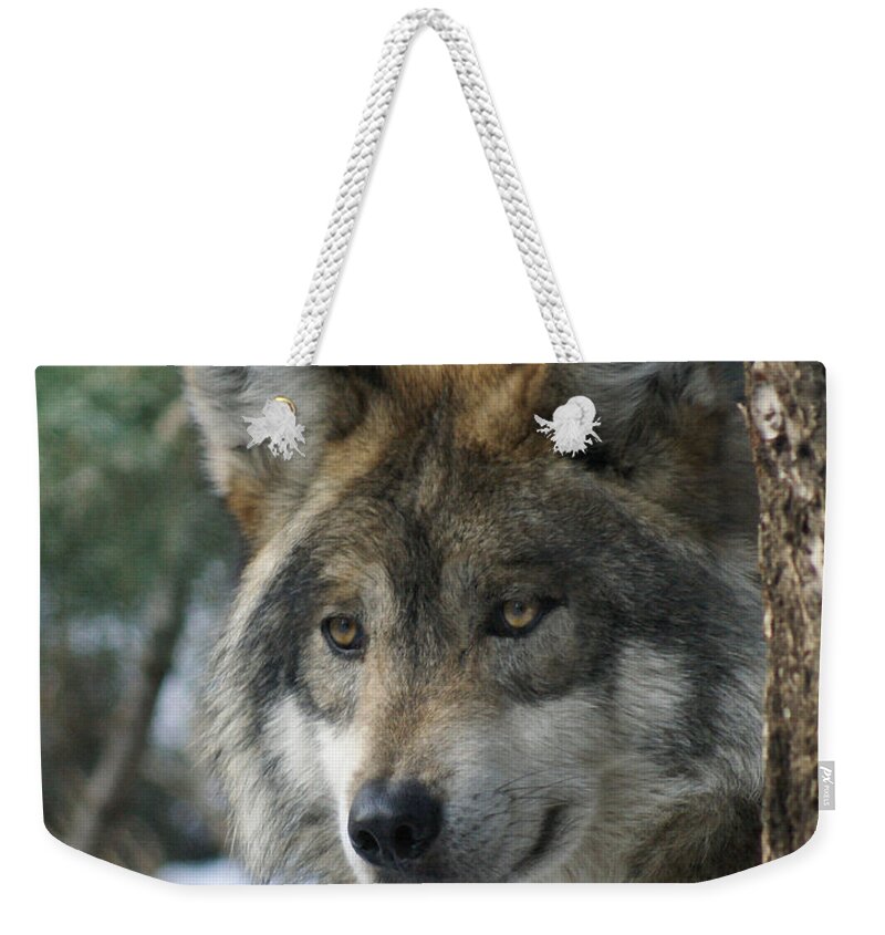 Wolf Weekender Tote Bag featuring the photograph Wolf upclose by Ernest Echols