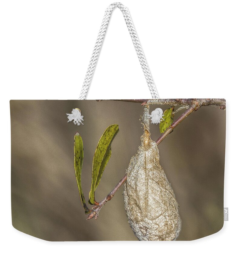 Florida Weekender Tote Bag featuring the photograph Wonder what's inside by Jane Luxton