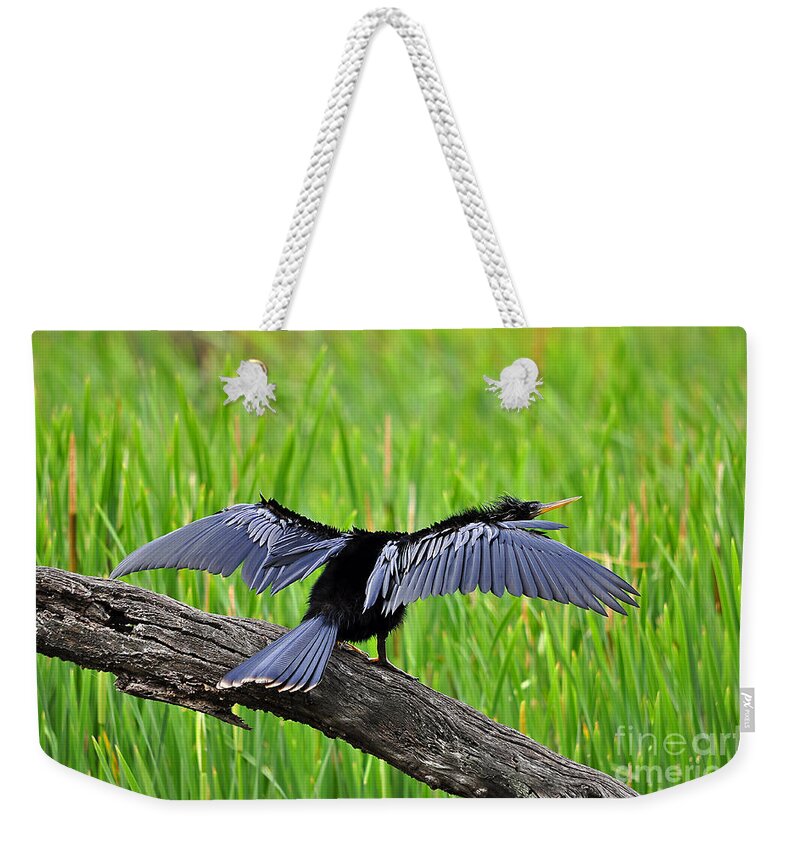 Anhinga Weekender Tote Bag featuring the photograph Wonderful Wings by Al Powell Photography USA