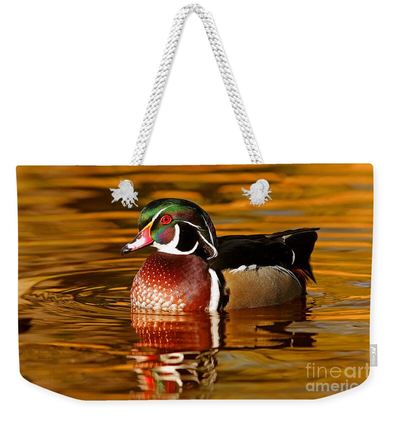 Wood-duck Weekender Tote Bag featuring the photograph Wood-drake on the golden light by Mircea Costina Photography