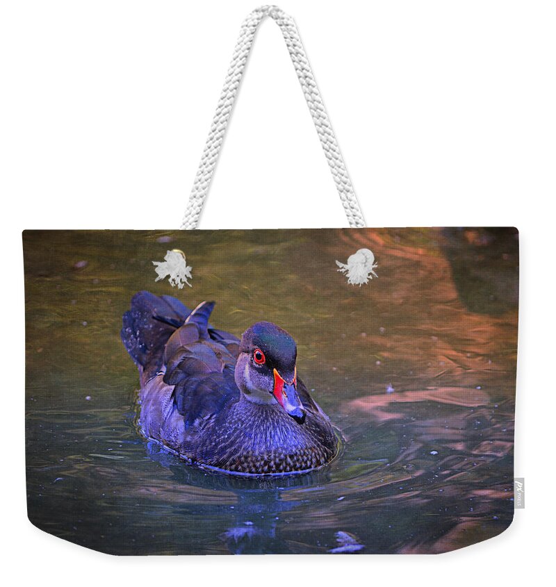 Duck Weekender Tote Bag featuring the photograph Wood Duck - British Columbia by Maria Angelica Maira